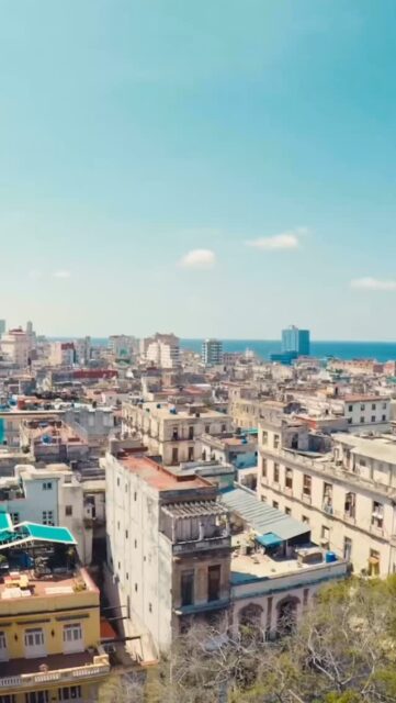 ¡Llegamos a la parte 22 de Estampillas por países! ✈️
Hoy viajamos al corazón del Caribe para conocer las estampillas de Cuba, una nación con una de las tradiciones filatélicas más vibrantes de América Latina 🌴📬
Desde homenajes a José Martí y la Revolución Cubana, hasta piezas que celebran la música, el béisbol y la biodiversidad, las estampillas cubanas son pequeñas obras de arte que cuentan su historia con color, ritmo y resistencia. 🎶📮
✨ Cada sello es un reflejo del alma isleña y su orgullo cultural.
#SrEstampilla #Filatelia #EstampillasPorPaíses #Cuba #CorreoDelMundo #Coleccionismo #FilateliaLatina #HistoriaPostal