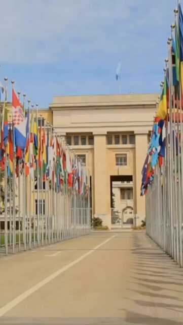 🌍 Hoy celebramos el aniversario de la creación de las Naciones Unidas, una organización que nació para unir al mundo en torno a la paz y la cooperación. 🤝
Y sí… ¡las estampillas también han sido parte de esta historia! 📮✨
Cada emisión postal con la bandera de la ONU, con sus misiones o sus ideales, nos recuerda que un pequeño sello puede llevar un gran mensaje: el de la unión entre los pueblos. 💌
#DíaDeLasNacionesUnidas #ONU #SrEstampilla #Filatelia #CulturaPostal #CorreoQueUne #onu80
