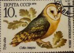 🦉 Silencio que observa

URSS, 1979.
La lechuza común (Tyto alba) aparece inmóvil, envuelta en tonos otoñales, como si el tiempo también aprendiera a callar. Sus ojos no miran: vigilan.

Una estampilla donde la naturaleza se vuelve símbolo de paciencia, misterio y sabiduría nocturna.
Pequeña en tamaño, enorme en carácter. 📮🌙

#Estampillas #lechuza  #filatelia #rusia #fauna