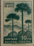 🌲🇨🇱 Raíces que construyen país
Estampilla de Correos de Chile (10 cts) emitida en apoyo a la Campaña Nacional Forestal.
El diseño destaca la imponente araucaria, árbol símbolo del sur de Chile, representando la riqueza natural y la importancia de la reforestación y conservación de los bosques nativos. Impresa por la Casa de Moneda de Chile, combina arte gráfico y conciencia ambiental en una composición sobria y poderosa.
Una pieza que celebra el compromiso con la naturaleza y el patrimonio forestal chileno. ✨
#Filatelia #Chile #CampañaNacionalForestal #Araucaria #Naturaleza