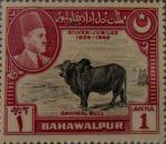 Historia, tradición y orgullo ganadero en una sola emisión 🐂📮

Esta estampilla del antiguo Estado de Bahawalpur, con valor facial de 1 Anna, conmemora el Silver Jubilee (1924–1949). El diseño combina el retrato del gobernante en el óvalo superior con la imponente figura de un Sahiwal Bull, una de las razas bovinas más reconocidas del subcontinente por su fortaleza y calidad.

La composición equilibra poder político y riqueza agropecuaria, destacando la importancia de la ganadería como símbolo económico y cultural de la región. Los detalles en grabado y el contraste entre rojo y negro refuerzan el carácter solemne y conmemorativo de la pieza.

Una estampilla que refleja identidad, liderazgo y tradición productiva en el sur de Asia, hoy convertida en una joya histórica para los coleccionistas.

#SrEstampilla #Filatelia #Bahawalpur #HistoriaPostal #EstampillasDelMundo