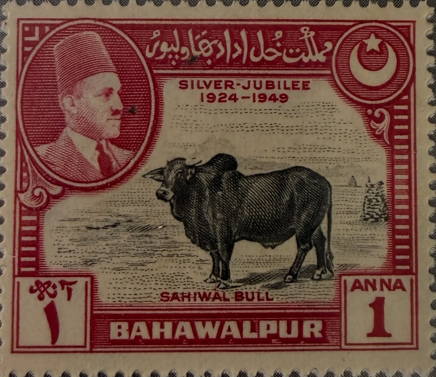 Historia, tradición y orgullo ganadero en una sola emisión 🐂📮

Esta estampilla del antiguo Estado de Bahawalpur, con valor facial de 1 Anna, conmemora el Silver Jubilee (1924–1949). El diseño combina el retrato del gobernante en el óvalo superior con la imponente figura de un Sahiwal Bull, una de las razas bovinas más reconocidas del subcontinente por su fortaleza y calidad.

La composición equilibra poder político y riqueza agropecuaria, destacando la importancia de la ganadería como símbolo económico y cultural de la región. Los detalles en grabado y el contraste entre rojo y negro refuerzan el carácter solemne y conmemorativo de la pieza.

Una estampilla que refleja identidad, liderazgo y tradición productiva en el sur de Asia, hoy convertida en una joya histórica para los coleccionistas.

#SrEstampilla #Filatelia #Bahawalpur #HistoriaPostal #EstampillasDelMundo