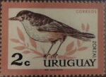 🐦🌿 Naturaleza en detalle
Estampilla de Uruguay (2c) dedicada a la Zorzal, ave característica del paisaje rioplatense.
El diseño, en tonos sobrios y delicados, resalta la elegancia y sencillez de esta especie, símbolo sonoro de campos y jardines. Emitida por Correos Uruguay e impresa por la Imprenta Nacional, forma parte de las clásicas series dedicadas a la fauna local.
Una pieza que celebra la biodiversidad y el encanto natural del país en formato postal. ✨
#Filatelia #Uruguay #Zorzal #Fauna #Coleccionismo