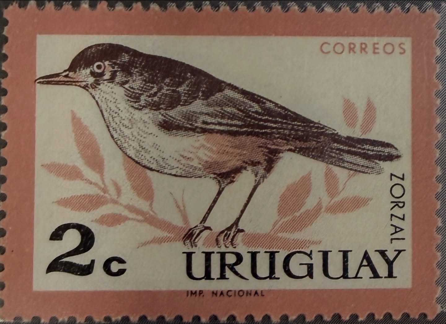🐦🌿 Naturaleza en detalle
Estampilla de Uruguay (2c) dedicada a la Zorzal, ave característica del paisaje rioplatense.
El diseño, en tonos sobrios y delicados, resalta la elegancia y sencillez de esta especie, símbolo sonoro de campos y jardines. Emitida por Correos Uruguay e impresa por la Imprenta Nacional, forma parte de las clásicas series dedicadas a la fauna local.
Una pieza que celebra la biodiversidad y el encanto natural del país en formato postal. ✨
#Filatelia #Uruguay #Zorzal #Fauna #Coleccionismo
