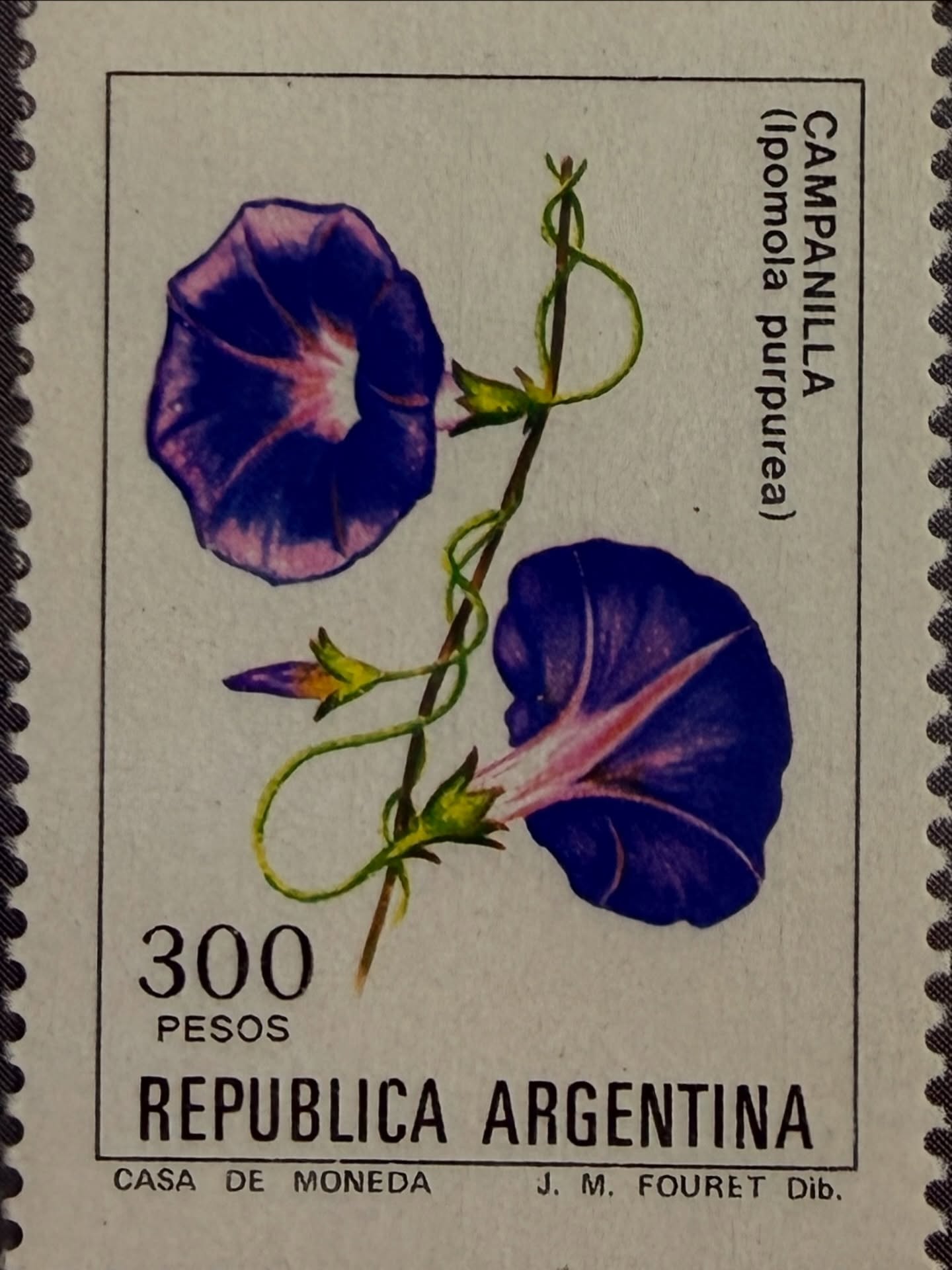🌸🇦🇷 Belleza natural en cada pétalo
Estampilla de República Argentina (300 pesos) dedicada a la Campanilla (Ipomoea purpurea), una flor trepadora reconocida por sus vibrantes tonos violetas y su delicada forma en embudo.
El diseño, ilustrado con precisión botánica, resalta la elegancia de esta especie ornamental que adorna jardines y paisajes rurales. Impresa por la Casa de Moneda, la pieza combina arte floral y patrimonio natural argentino en un formato clásico y atemporal.
Un sello que florece en cualquier colección. ✨
#Filatelia #Argentina #Campanilla #IpomoeaPurpurea #Flora