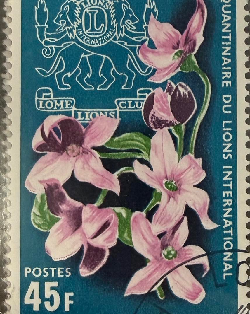 🌸 Filatelia, naturaleza y servicio.

Esta estampilla de Togo conmemora el 50 aniversario de Lions International (1917–1967) y combina el emblema de la organización con una hermosa ilustración floral.

🔎 Dato curioso: Lions Clubs International es una de las organizaciones de servicio más grandes del mundo, conocida por sus programas de ayuda comunitaria y apoyo a la visión.

#Filatelia #Togo #HistoriaPostal #StampCollecting #Philately 📮