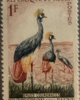 🕊️ Belleza natural que también viaja en estampillas.

Esta pieza de Níger muestra a las grullas coronadas, aves africanas reconocidas por la elegante “corona” de plumas doradas sobre su cabeza.

🔎 Dato curioso: estas grullas son tan representativas de África que incluso aparecen en símbolos nacionales y programas de conservación para proteger la fauna.

#Filatelia #Niger #Fauna #StampCollecting #Philately 📮