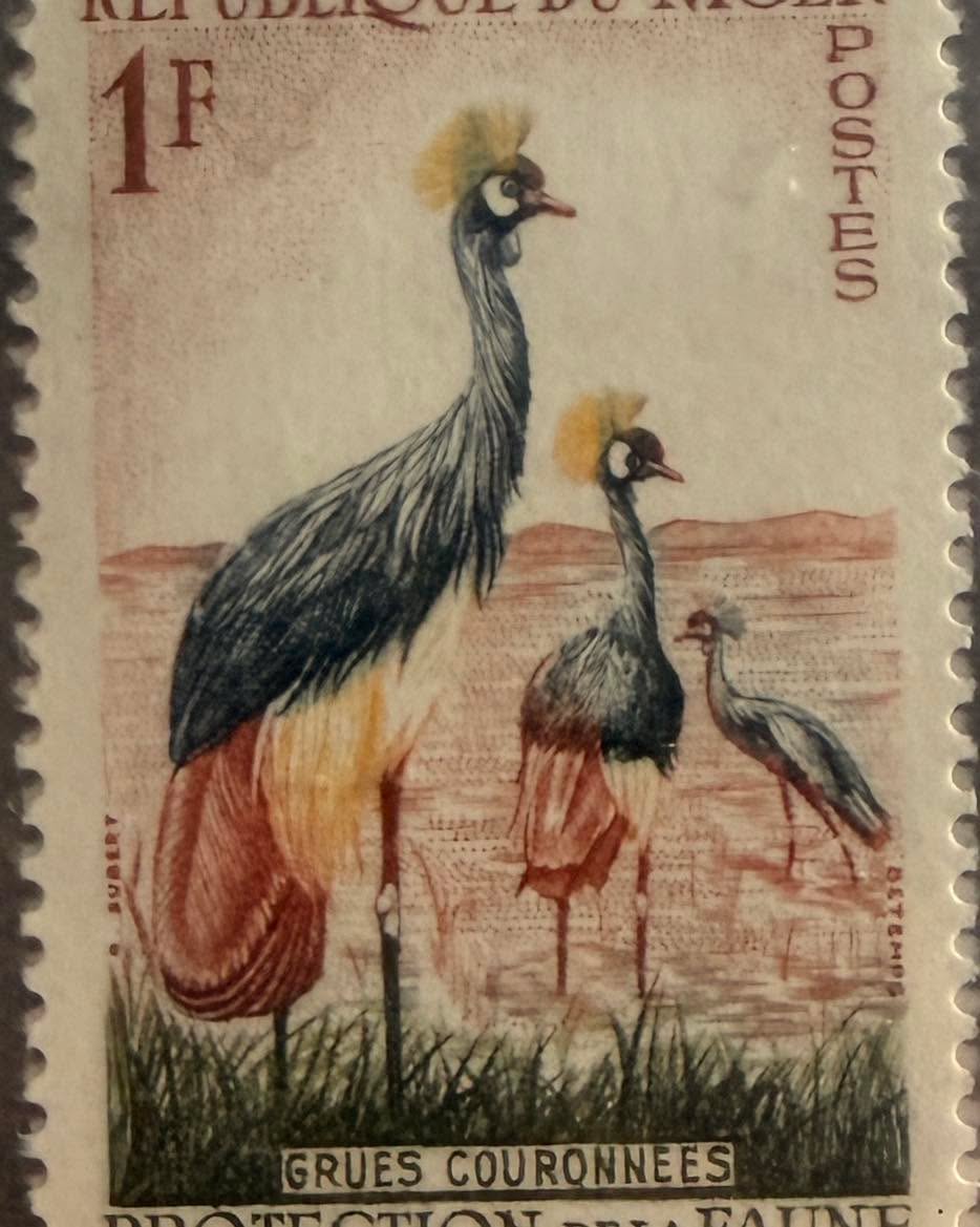 🕊️ Belleza natural que también viaja en estampillas.

Esta pieza de Níger muestra a las grullas coronadas, aves africanas reconocidas por la elegante “corona” de plumas doradas sobre su cabeza.

🔎 Dato curioso: estas grullas son tan representativas de África que incluso aparecen en símbolos nacionales y programas de conservación para proteger la fauna.

#Filatelia #Niger #Fauna #StampCollecting #Philately 📮