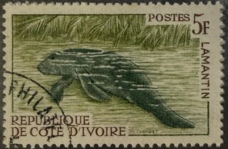 🐢 Una historia de vida que comienza en el mar.

Esta estampilla de Costa de Marfil muestra una tortuga marina, símbolo de la riqueza natural de las costas africanas.

🔎 Dato curioso: muchas tortugas marinas regresan a la misma playa donde nacieron para poner sus huevos, incluso después de viajar miles de kilómetros por el océano.

#Filatelia #CostadeMarfil #Fauna #StampCollecting #Philately 📮