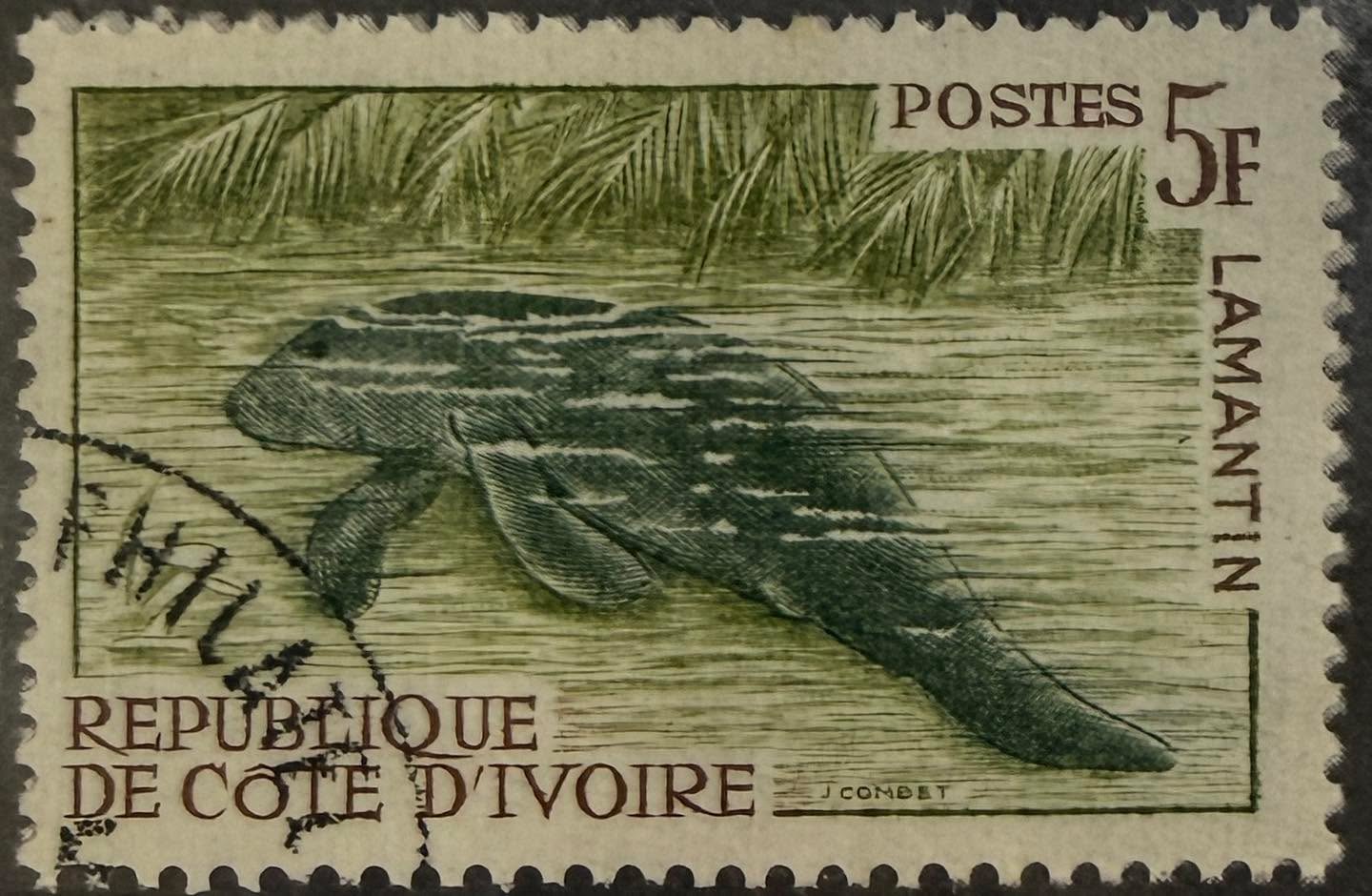 🐢 Una historia de vida que comienza en el mar.

Esta estampilla de Costa de Marfil muestra una tortuga marina, símbolo de la riqueza natural de las costas africanas.

🔎 Dato curioso: muchas tortugas marinas regresan a la misma playa donde nacieron para poner sus huevos, incluso después de viajar miles de kilómetros por el océano.

#Filatelia #CostadeMarfil #Fauna #StampCollecting #Philately 📮