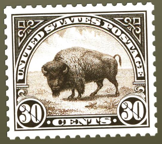 bisonte americano
