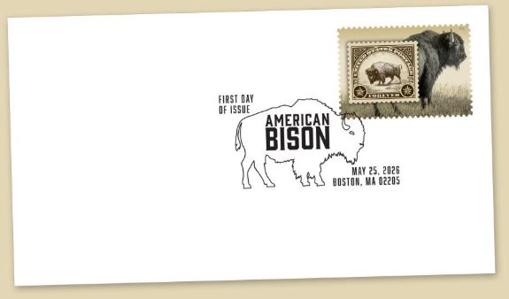 bisonte americano boston 2026