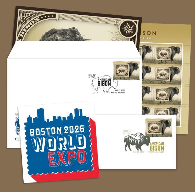 bisonte americano boston 2026