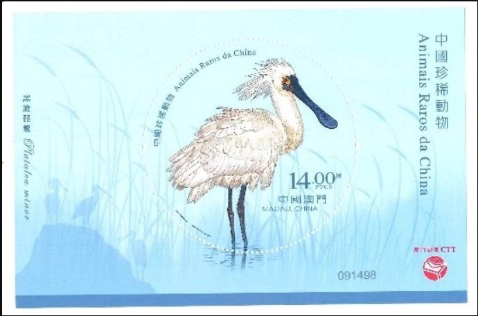 Macao – Rare Animals in China
