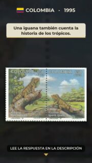 Una iguana también cuenta la historia de los trópicos.

¿Qué revela una iguana sobre la geografía y la vida de Colombia? Mucho más de lo que parece. Iguana iguana es una especie propia de las regiones tropicales de América, adaptada a ambientes donde el sol, la vegetación y el agua determinan el ritmo cotidiano.

Su presencia conecta distintos paisajes: puede desplazarse entre árboles, suelos cálidos y orillas de ríos, mientras regula su temperatura aprovechando la luz solar. Herbívora en gran medida, participa en los ciclos de dispersión de semillas y forma parte de una red ecológica que sostiene la diversidad de los trópicos.

Emitido en 1995 con valor de 650 pesos y destinado al correo aéreo, el motivo convierte una especie común en un pequeño testimonio de la riqueza natural colombiana. La denominación científica recuerda que la filatelia también puede acercarnos a la zoología y a la manera en que una sociedad reconoce su patrimonio natural.

La próxima vez que veas una sombra inmóvil entre las hojas, imagina qué historias del paisaje podría estar contando.

#Filatelia #Colombia #IguanaVerde #IguanaIguana #Biodiversidad #FaunaTropical #CorreoAéreo #StampCollecting