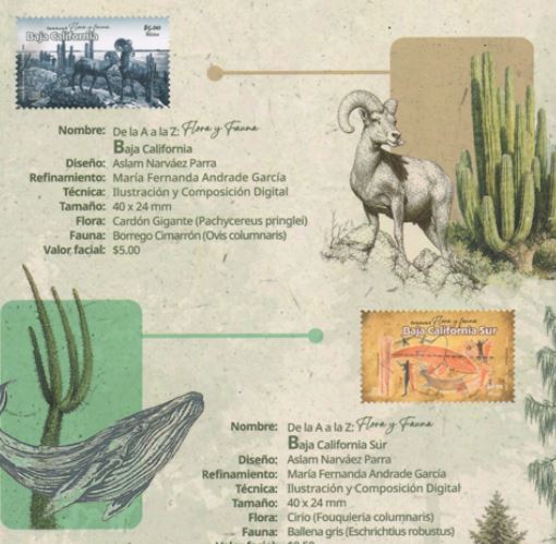 De la A a la Z: Flora y Fauna de México