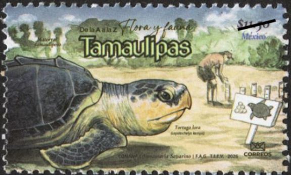 De la A a la Z: Flora y Fauna de México