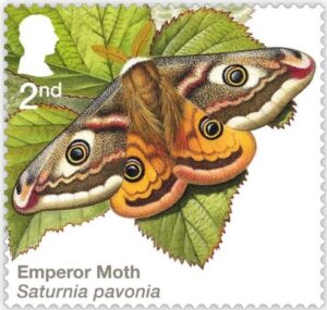 Polillas de Royal Mail