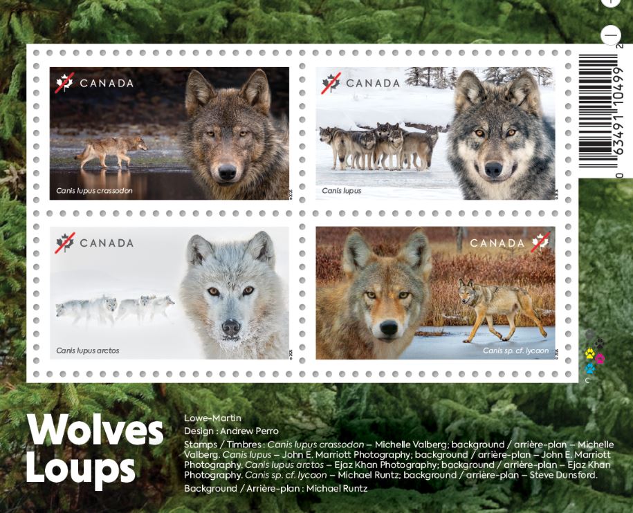 lobos canada
