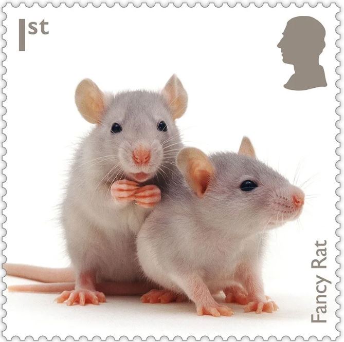 mascotas royal mail