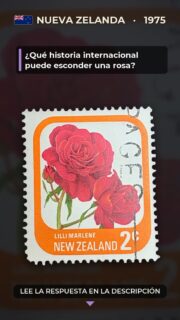 ¿Qué historia internacional puede esconder una rosa?

En 1975, Nueva Zelanda puso en circulación una serie dedicada a variedades de rosas cultivadas y apreciadas en el país. El valor de 2 centavos presenta la Lilli Marlene, una flor cuyo nombre conecta la horticultura con la cultura popular europea.

La variedad fue desarrollada en Alemania a finales de la década de 1950 y recibió su nombre por la célebre canción “Lili Marleen”. Así, una rosa pasó a reunir en su denominación la tradición del cultivo ornamental, la música y la difusión internacional de los nombres botánicos y comerciales.

Además de embellecer el correo cotidiano, la serie difundía el interés neozelandés por la jardinería y por las rosas como patrimonio cultural. La próxima vez que veas una flor en un jardín, imagina cuántas historias de viajes, canciones y cuidados pueden estar asociadas a ella.

#Filatelia #NuevaZelanda #Rosas #LilliMarlene #HistoriaPostal #SellosPostales #RoseStamp #StampCollecting